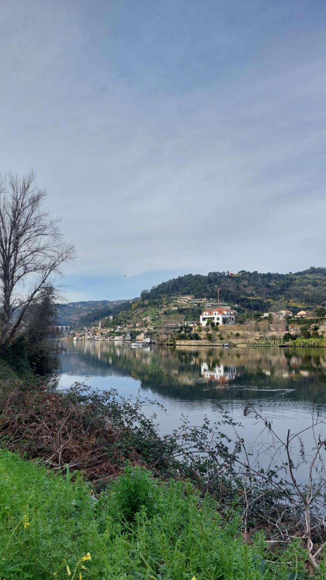 Welcome Douro シンファンイス エクステリア 写真